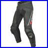 Dainese-Delta-Pro-C2-Leather-Mens-Race-Motorcycle-Motorbike-Trousers-Pants-Black-01-anbj