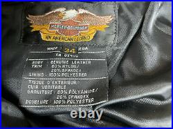 RARE Harley Davidson Genuine Leather Riding Pants Belt Heavy Size 34